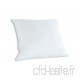 Badenia Bettcomfort 03875430123 Trendline Comfort Oreiller 80 x 80 cm Blanc - B000SD45YQ